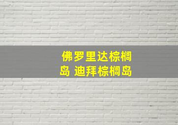 佛罗里达棕榈岛 迪拜棕榈岛